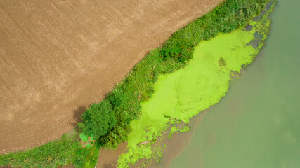 Aerial view on the sewage discharges that take place in the Tiber river, in Italy. Water changes...