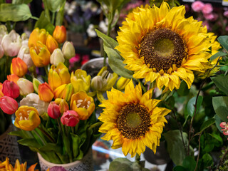 Beautiful two sunflowers with green leaves in front of a tulip bouquet.