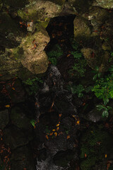 Waterfall in the forest