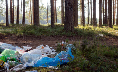Garbage dump in a pine forest. The concept of ecology on the planet.