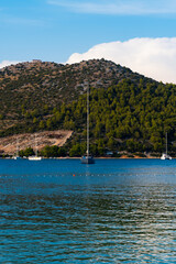 black sail boat in a bay with a hill and olive trees in the background in Marina, Croatia