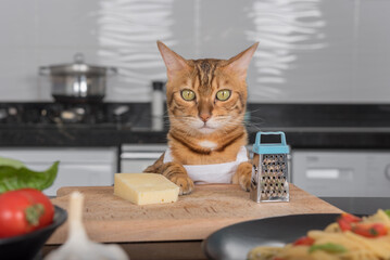 A cat in a white apron sits at the kitchen table next to cheese and a grater.