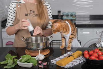 The cat and its owner in aprons cook food together in the home kitchen.
