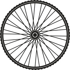 Bicycle wheel isolated