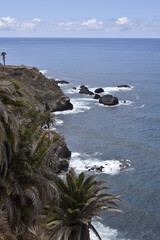 Fototapeta na wymiar Canary Islands Tenerife Atlantic Ocean Coast Palm Trees 