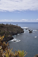 Fototapeta premium Canary Islands Tenerife Atlantic Ocean Coast Palm Trees 