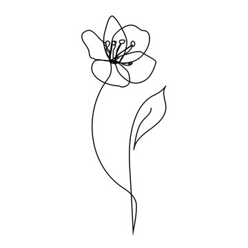 Continuous line Decorative tulip flower, design element. Can be used for cards, invitations, banners, posters, print design. Floral background in line art style
