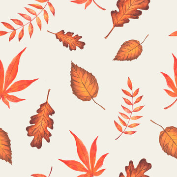 Watercolor seamless pattern with autumn leaves. Hand drawn watercolor fall illustration.