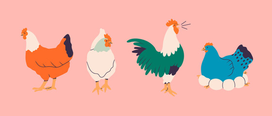 Domestic Chicken set. Different hens, rooster, eggs in nest. Various breed. Farm birds, Easter, organic eco food concept. Design elements. Cute farm animals. Hand drawn Vector illustration