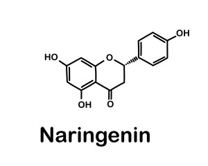 Fototapeta premium Chemical structure of naringenin. Vector illustration. Naringenin is one of the flavonoids. 
