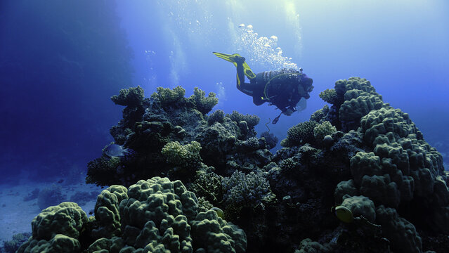 Underwater photo of a scuba diver in beautiful light at a coral reef