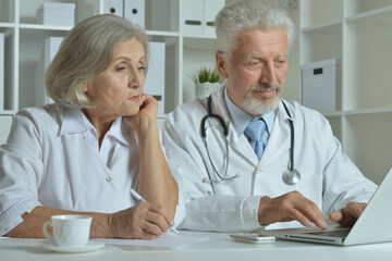 Portrait of an elderly couple of doctors at the laptop