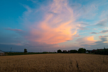 Storm cloud over wheat fields is illuminated orange and pink by the setting sun