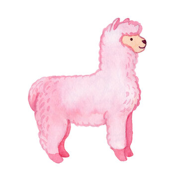 Llama and alpaca collection of cute hand drawn watercolor  illustrations, cards and design for nursery design, poster, greeting card. Llamas or alpacas clip-art. Cute animals watercolor  illustration.