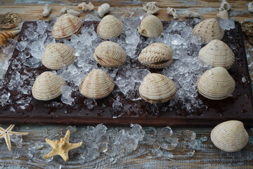 clams in a white shell on a wooden board with ice
