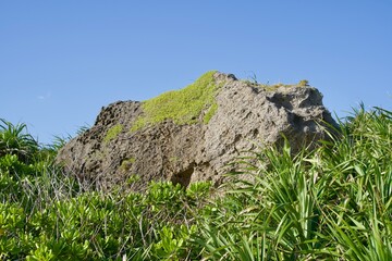 A large rock in Higashi-hennazaki Park