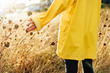 Female hand touching the wet dried grass after the rain. Cropped woman in yellow raincoat walking in the fall meadow after the rain in sunset light. Nature in autumn. Soft selective focus, copy space.