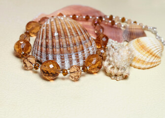 Necklace made of faceted glass beads lying on a large sea shell