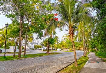 Fototapeta premium Typical street road and cityscape of Playa del Carmen Mexico.