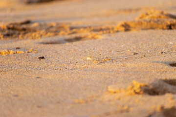sand