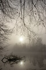 Atmospheric view to a misty river scenery as mourning concept