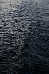 Big wave forming in deep dark ocean