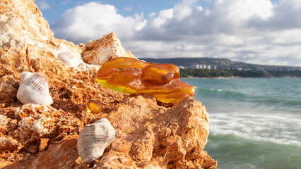 Beautiful shiny orange Baltic amber stone on a rock against the sea. Ancient piece of amber close...