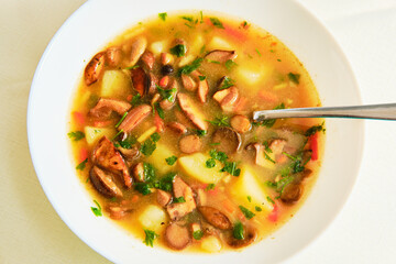 Mushroom soup in bowl