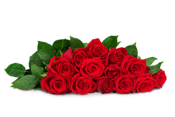 a blooming red rose with green leaves, isolate on a white background