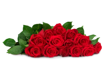 Deurstickers a blooming red rose with green leaves, isolate on a white background © Елена Челышева