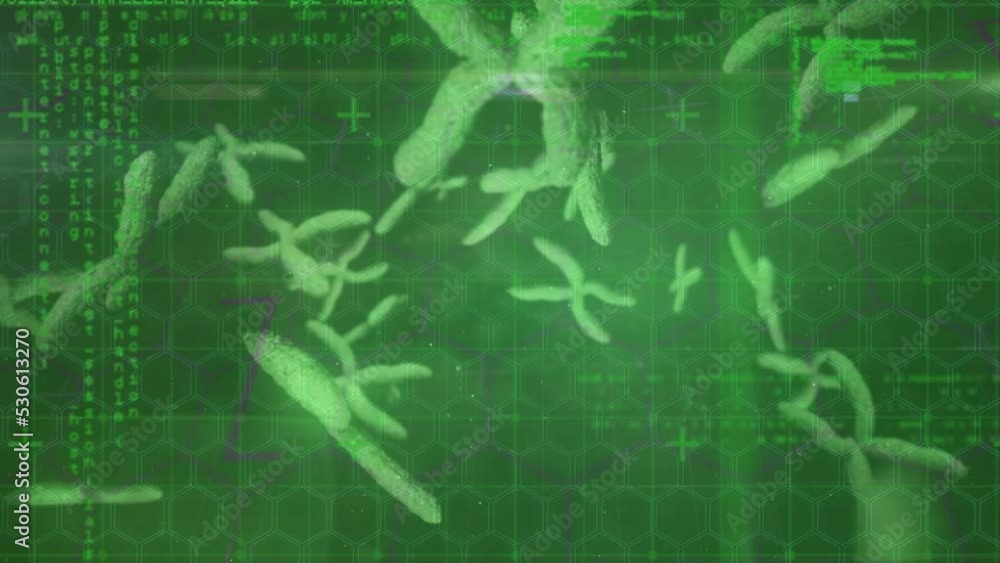 Poster animation of floating nucleotides with green programming languages and hexagon pattern