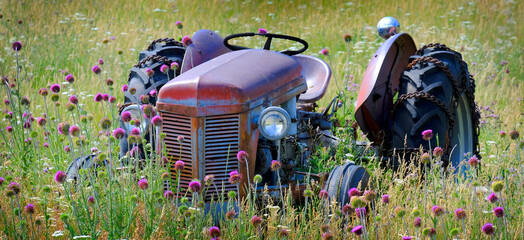 Old Vintage Tractor Antique in Field with Flowers Abandoned