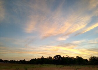 sunset over the field