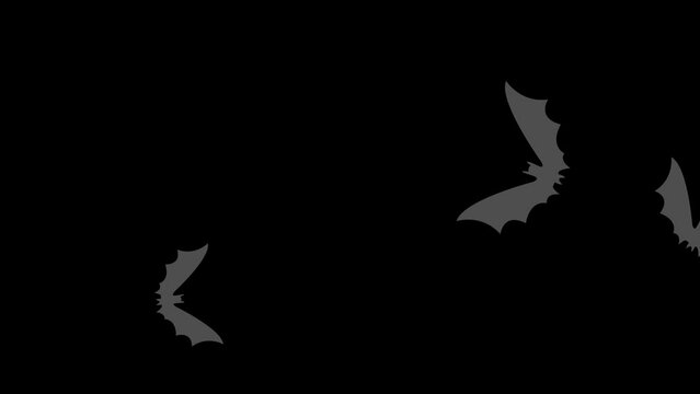 Halloween party  banner. Group of bats  frying on black background.