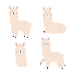 Set of character cartoon lama in boho style. Vector illustration.