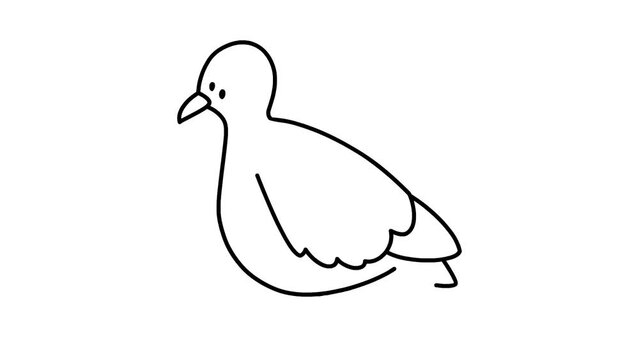 duck sketch and 2d animation
