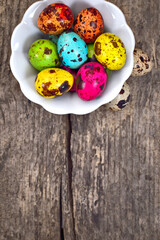 Painted Easter eggs quail