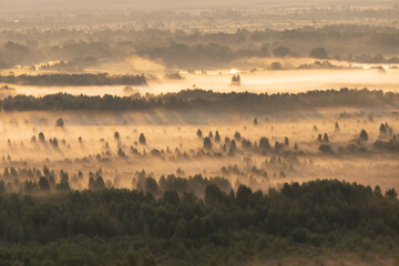 Thick morning fog glowing in the rays of the sun over the forest in autumn. Misty landscape in...