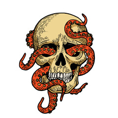 Octopus in human skull color sketch PNG illustration with transparent background