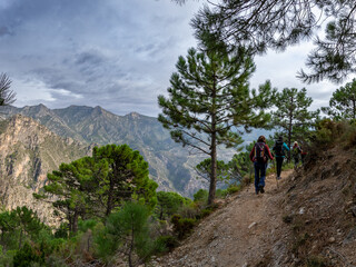 Hikers walking along narrow path with pine trees and mountains of Sierra de Tejeda and Almijara in the background with cloudy stormy sky