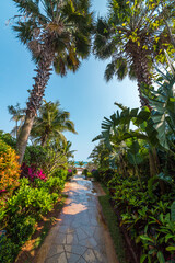 Fototapeta premium seaside in Sanya China