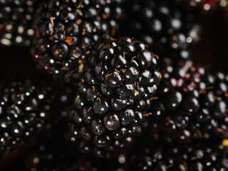 Macro shot. Ripe blackberries. Rich harvest, farming, forestry, market, supermarket, restaurant and home cooking. Blackberry Recipes. Culinary blog, recipe book.