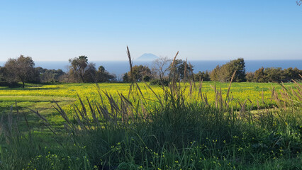 Veduta el Vulcano Stromboli da campo verde Capo Vaticano in Calabria