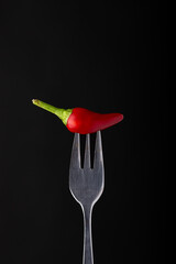 Cancun Pepper Chili with a fork