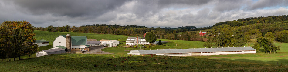 Amish farm with a white barn and chicken barn among green hilly fields in Holmes County, Ohio in late summer