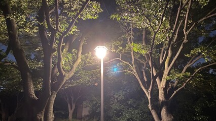 The night street light of downtown Tokyo, Ueno year 2022 