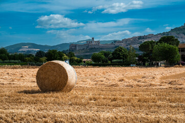 Assisi, a journey through history and religion.