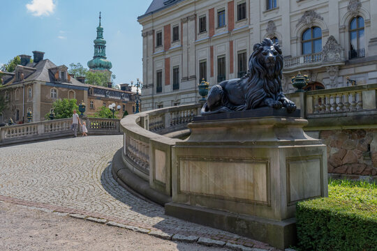 A Menacing Lion Guarding His Palace