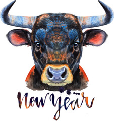 Watercolor illustration of black powerful bull 