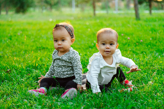 Twin baby girls sitting on the lawn outside